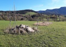 Kleinstrukturen (c) Marc Germann Kleinstrukturen (c) Marc Germann